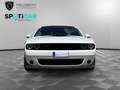 Dodge Challenger Automatik 392 Hemi Scat Pack Shaker Bianco - thumbnail 5