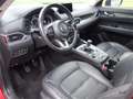 Mazda CX-5 CD184 AWD Revolution Top Rouge - thumbnail 9