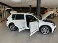 Volkswagen Tiguan R-Line 4M|360°|Pano|Virtual|AHK|ACC|HUD Weiß - thumbnail 3