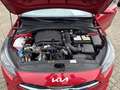 Kia Ceed SW / cee'd SW Edition 7 1.0 T-GDI Klima PDC Sitzhzg. MFL Rot - thumbnail 14