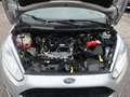 Ford Fiesta Fiesta 5p 1.0 Business 80cv E6 - Tagliandi Ford Argento - thumbnail 13