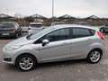 Ford Fiesta Fiesta 5p 1.0 Business 80cv E6 - Tagliandi Ford Argento - thumbnail 14