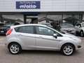 Ford Fiesta Fiesta 5p 1.0 Business 80cv E6 - Tagliandi Ford Argento - thumbnail 15