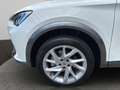 CUPRA Formentor 1.5 TSI DSG ACC PDC Weiß - thumbnail 3