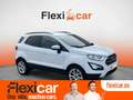 Ford EcoSport 1.0T EcoBoost 92kW (125CV) S&S Active Wit - thumbnail 1