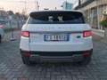 Land Rover Range Rover Evoque 2.0 TD4 150 CV SE/ GUARDA IL VIDEO Prova su Strada Bianco - thumbnail 6
