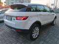 Land Rover Range Rover Evoque 2.0 TD4 150 CV SE/ GUARDA IL VIDEO Prova su Strada Bianco - thumbnail 4