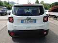 Jeep Renegade 1.0 t3 Limited 2wd Bianco - thumbnail 5