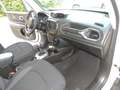 Jeep Renegade 1.0 t3 Limited 2wd Bianco - thumbnail 8