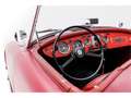 MG MGA 1500 Originele Lak I Technisch in uitstekende staa Rood - thumbnail 26