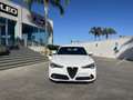 Alfa Romeo Stelvio Stelvio 2.2 TD  Super Business Q4 190cv auto,Km C Bianco - thumbnail 6