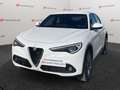 Alfa Romeo Stelvio Stelvio 2.2 TD  Super Business Q4 190cv auto,Km C Blanco - thumbnail 2