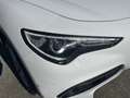 Alfa Romeo Stelvio Stelvio 2.2 TD  Super Business Q4 190cv auto,Km C Bianco - thumbnail 8