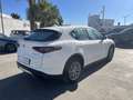 Alfa Romeo Stelvio Stelvio 2.2 TD  Super Business Q4 190cv auto,Km C Bianco - thumbnail 9