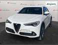 Alfa Romeo Stelvio Stelvio 2.2 TD  Super Business Q4 190cv auto,Km C Blanco - thumbnail 1