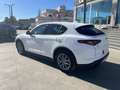 Alfa Romeo Stelvio Stelvio 2.2 TD  Super Business Q4 190cv auto,Km C Blanc - thumbnail 11