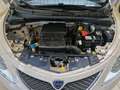 Lancia Ypsilon Ypsilon 1.2 69 CV 5 porte Silver Beige - thumbnail 14