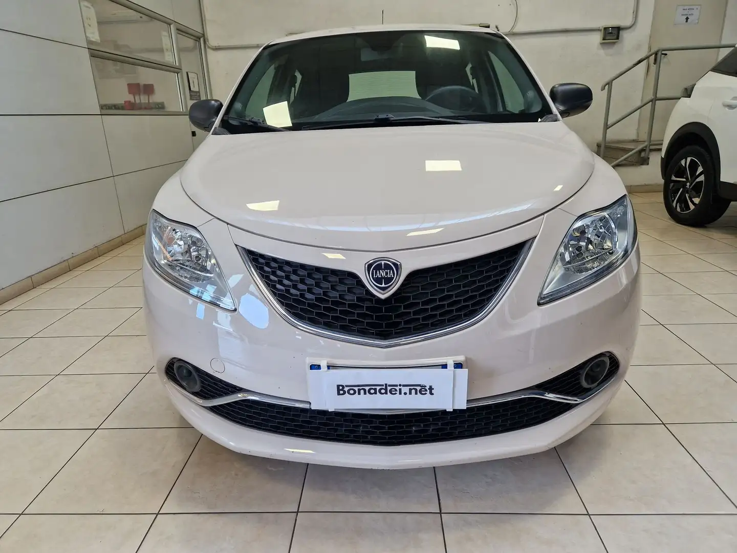 Lancia Ypsilon Ypsilon 1.2 69 CV 5 porte Silver Beige - 1