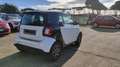 smart forTwo 1.0 Twinamic Youngster,Bluetooth,CruiseControl Bianco - thumbnail 6