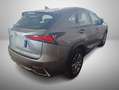 Lexus NX 300 2.5 HEV E-CVT Kamera/ACC/KeyLess/LED Grau - thumbnail 2