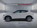 Alfa Romeo Tonale Tonale 1.6 Sprint 130cv tct6 Bianco - thumbnail 2