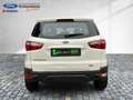 Ford EcoSport Trend Klimaaut. PDC Sitzheizung Alarm Gelb - thumbnail 15