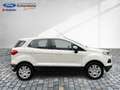 Ford EcoSport Trend Klimaaut. PDC Sitzheizung Alarm Gelb - thumbnail 19