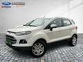 Ford EcoSport Trend Klimaaut. PDC Sitzheizung Alarm Gelb - thumbnail 28