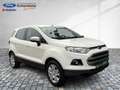 Ford EcoSport Trend Klimaaut. PDC Sitzheizung Alarm Gelb - thumbnail 21