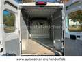 Fiat Ducato Grossr.-Kasten 35 130 L4H2 RS: 4035 mm Bílá - thumbnail 12