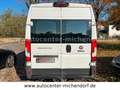 Fiat Ducato Grossr.-Kasten 35 130 L4H2 RS: 4035 mm Bílá - thumbnail 6