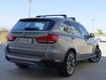 BMW X5 xDrive 50iA Gris - thumbnail 9