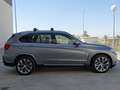 BMW X5 xDrive 50iA Gris - thumbnail 14