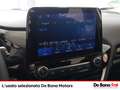 Ford Fiesta 5p 1.1 plus 75cv Zilver - thumbnail 13