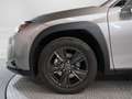 Lexus UX 250h 2.0 Business - thumbnail 13