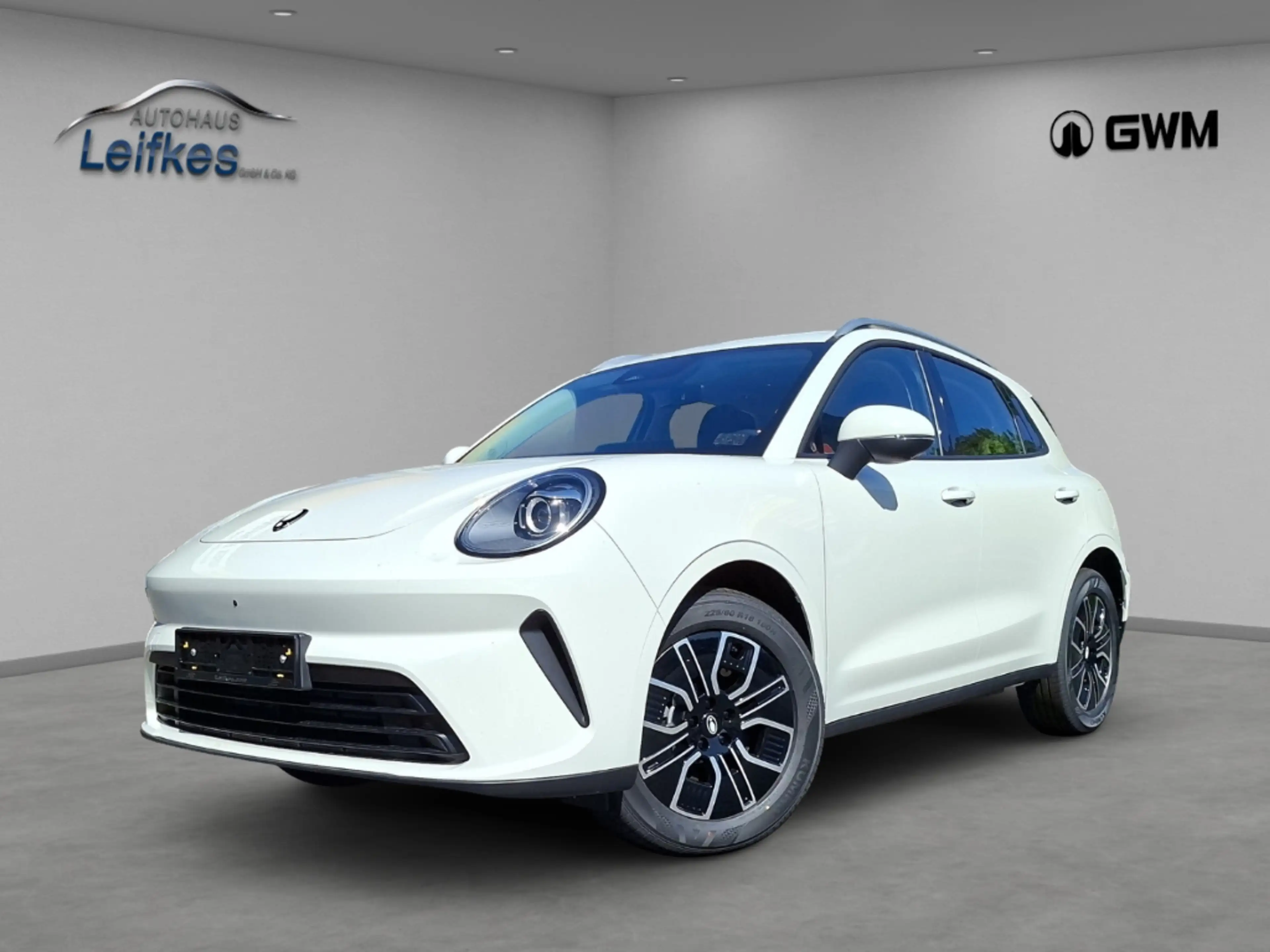 GWM SUV Premium 1.5 Turbo Navi AppleCar/Android Auto 3