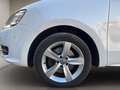 Volkswagen Sharan Highline 2.0 TDI,Pano-Dach,Navi,AHK,Winter-Paket Wit - thumbnail 19