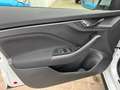 Skoda Kamiq 1.0 TSI 110 CV ScoutLine Bianco - thumbnail 10