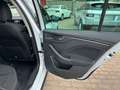 Skoda Kamiq 1.0 TSI 110 CV ScoutLine Bianco - thumbnail 24