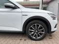 Skoda Kamiq 1.0 TSI 110 CV ScoutLine Bianco - thumbnail 4