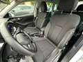 Skoda Kamiq 1.0 TSI 110 CV ScoutLine Bianco - thumbnail 13