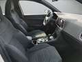 CUPRA Ateca 2.0 TSI 4Drive DSG *AHK* Weiß - thumbnail 13