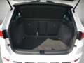 CUPRA Ateca 2.0 TSI 4Drive DSG *AHK* Weiß - thumbnail 5