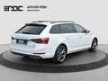 Skoda Superb 2.0 TDI SportLine 4x4 AHK/Assistenzpaket/DCC-Fahr Weiß - thumbnail 5