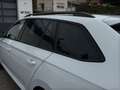 Skoda Superb 2.0 TDI SportLine 4x4 AHK/Assistenzpaket/DCC-Fahr Weiß - thumbnail 34