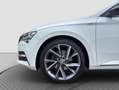 Skoda Superb 2.0 TDI SportLine 4x4 AHK/Assistenzpaket/DCC-Fahr Weiß - thumbnail 18