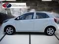 Kia Picanto Titan Klima Sitz+Lenkradheitzung Wit - thumbnail 6