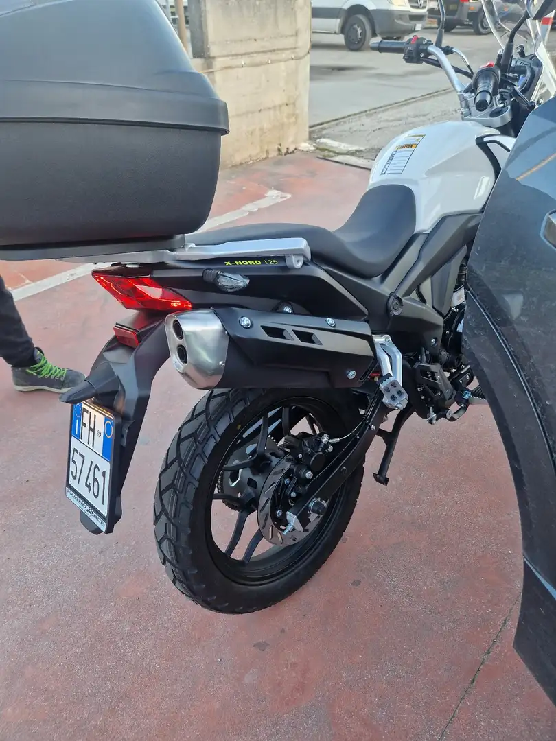 Motron X-Nord 125 Alb - 2