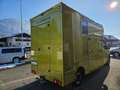 Renault Master Dickenherr Pferdetransporter Grün - thumbnail 4