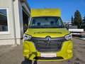 Renault Master Dickenherr Pferdetransporter Grün - thumbnail 2